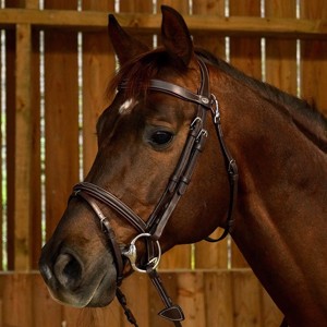 Dyon hoofdstel met sierstiksel gecombineerd neusriem