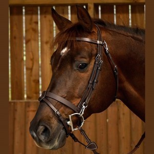 Dyon hoofdstel met clips en gecombineerde neusriem WORKING BY DY'ON