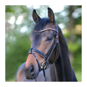 Kavalkade hoofdstel Rose