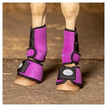 Harry's Horse peesbeschermers Tiny shet/mini