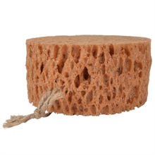 Borstiq Farm Groomingspons