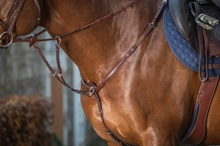 Dyon korte martingaal zilverkleurige gespen New English Collection