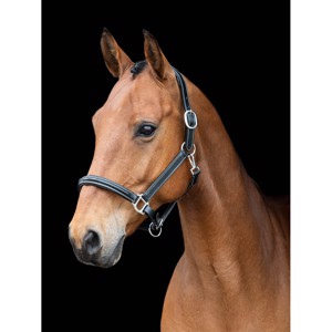 AB leren halster met stiksels