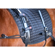 Eques Core Training Longesysteem