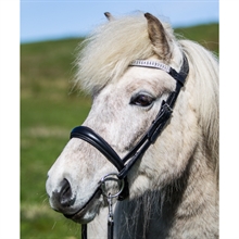 Eques Anatomische Engelse Neusriem