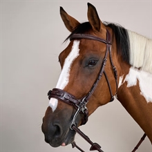 Dyon Hackamore hoofdstel US Collection