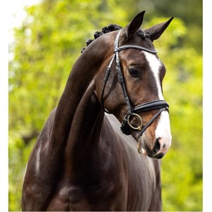 BR hoofdstel Southam 