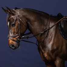 Dyon Working Howlett trainingssysteem