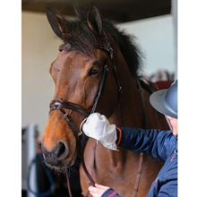 Carr & Day & Martin Belvoir vochtige doekjes handschoenen