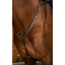 Dyon Bridge voortuig D Collection