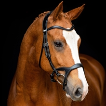 Montar Monarch Jumping hoofdstel zwart