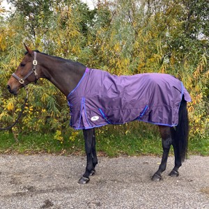 AB Overgangsdeken Purple Diamond 200 gram