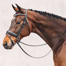 Schockemöhle hoofdstel Malibu